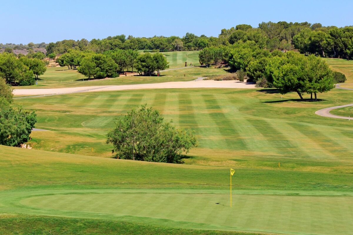 Villa with 3 bedrooms, 111m² in Pilar de la Horadada, Spain [ID: 0137-SP0873]