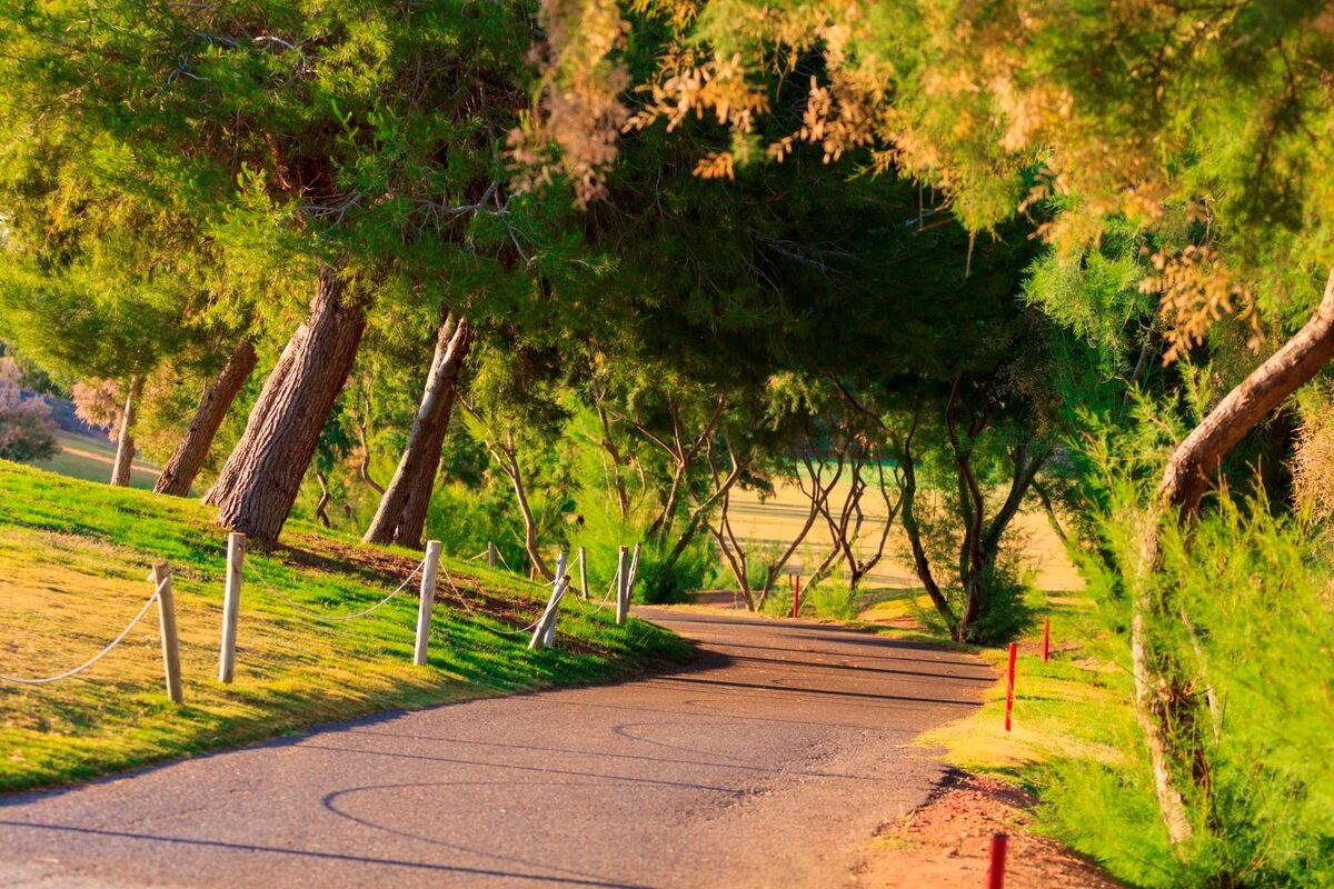 Villa with 3 bedrooms, 111m² in Pilar de la Horadada, Spain [ID: 0137-SP0873]