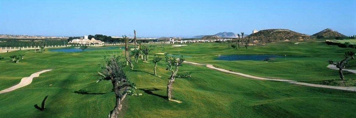 Villa with 3 bedrooms, 165m² in Sucina, Spain [ID: 0137-N8888]