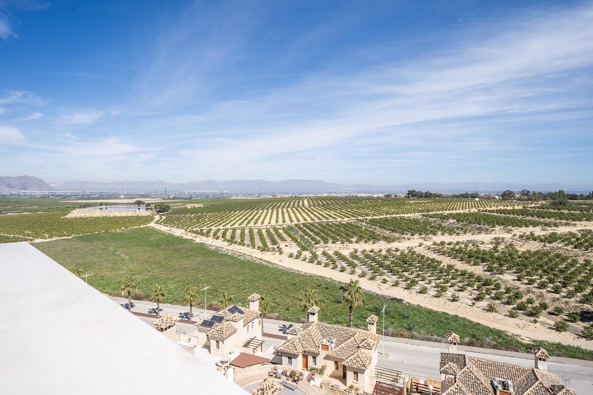Villa with 3 bedrooms, 238m² in Algorfa, Spain [ID: 0137-N8807]