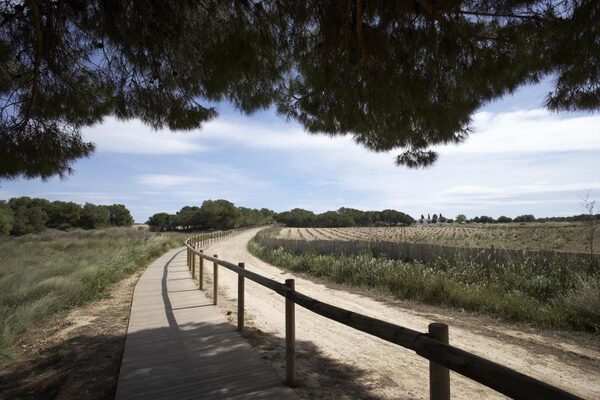 Bungalow w Torrevieja, Hiszpania, 72m² - obraz 6