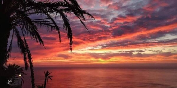 Bungalow w Torrevieja, Hiszpania, 72m² - obraz 13