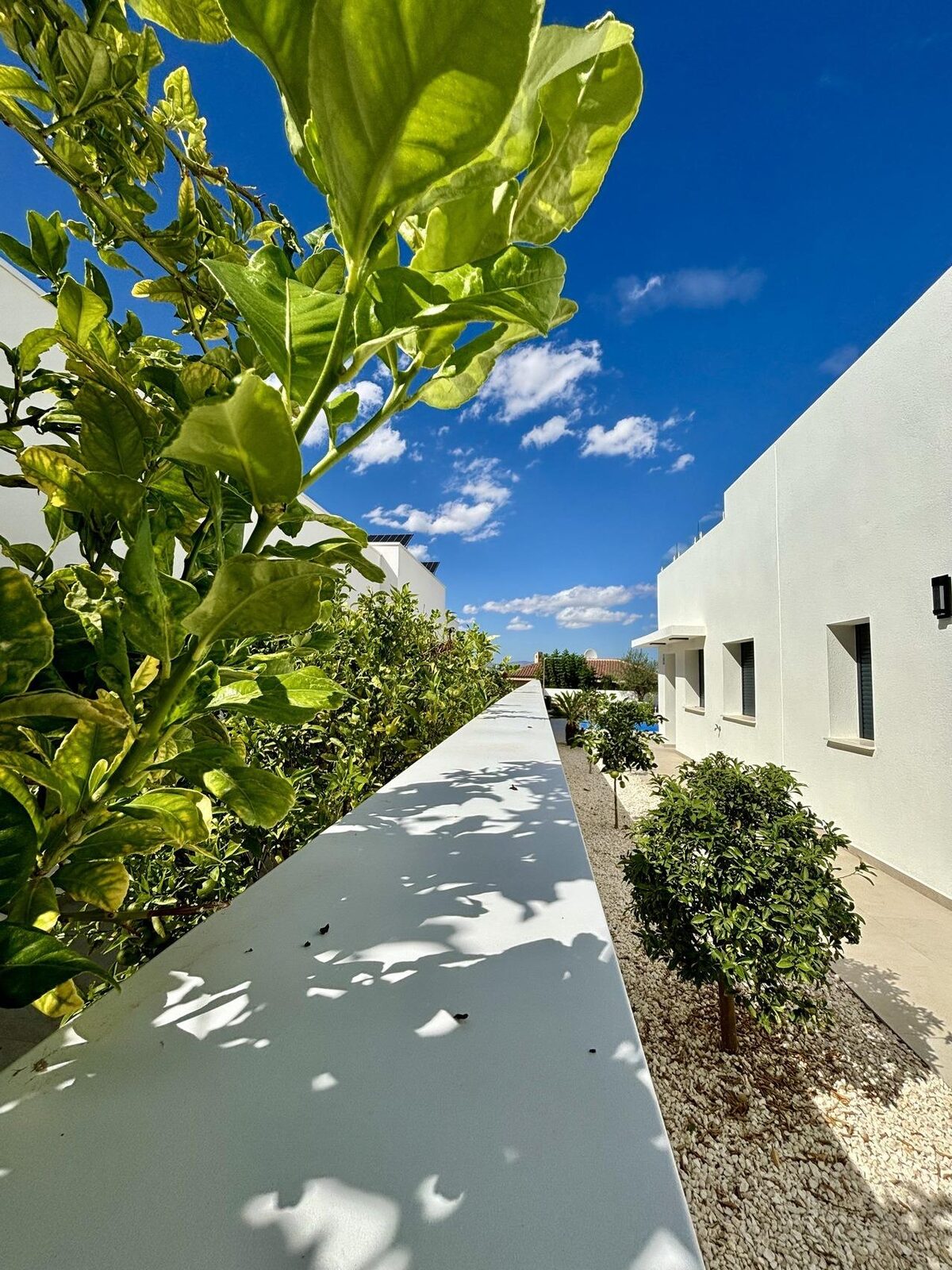 Willa z 3 sypialniami, 120m² w Benijófar, Hiszpania [ID: 0137-N8420]
