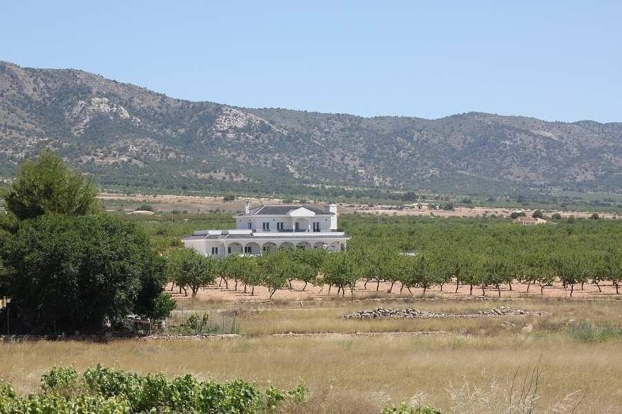 Villa with 4 bedrooms, 245m² in Pinoso, Spain [ID: 0137-N7759]
