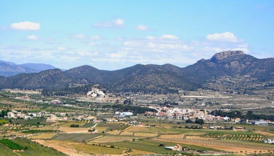 Villa with 3 bedrooms, 146m² in La Romana, Spain [ID: 0137-N7697]
