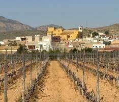 Bungalow z 3 sypialniami, 101m² w Hondón de las Nieves, Hiszpania [ID: 0137-N7358]