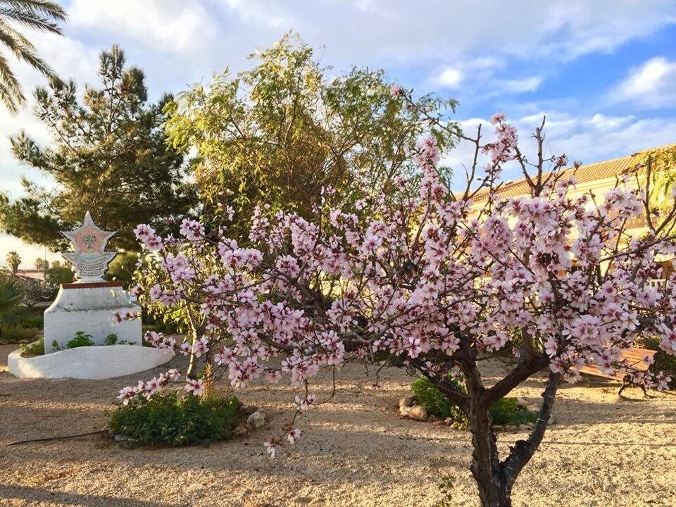 Villa with 3 bedrooms, 120m² in Los Urrutias, Spain [ID: 0137-N6927]