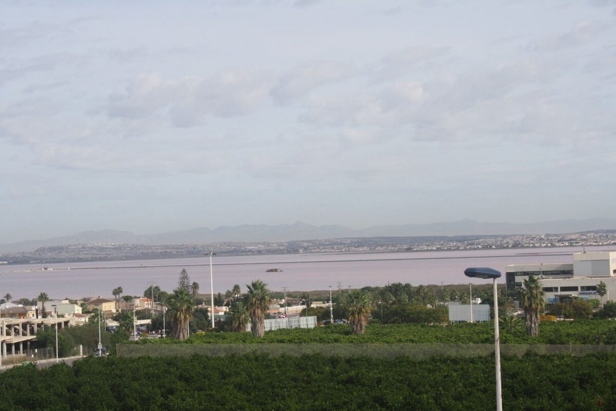 Townhouse with 2 bedrooms, 225m² in Torrevieja, Spain [ID: 0137-N6289]