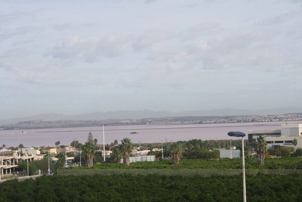 Dom szeregowy w Torrevieja, Hiszpania, 225m² - obraz 26