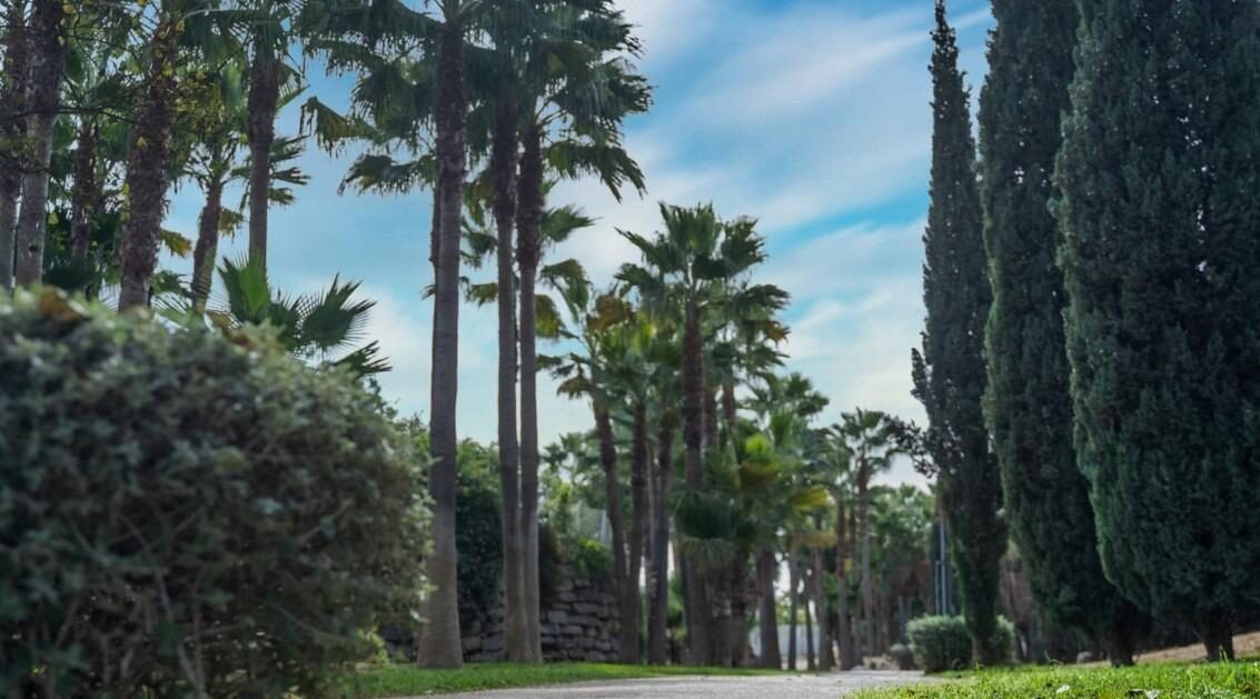 Penthouse z 3 sypialniami, 112m² w Fuengirola, Hiszpania [ID: 0137-SP1267]