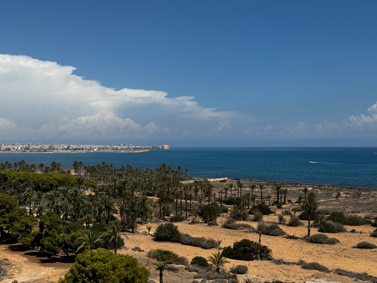 Apartment with 3 bedrooms, 116m² in Punta Prima, Spain [ID: 0150-LS-0409]