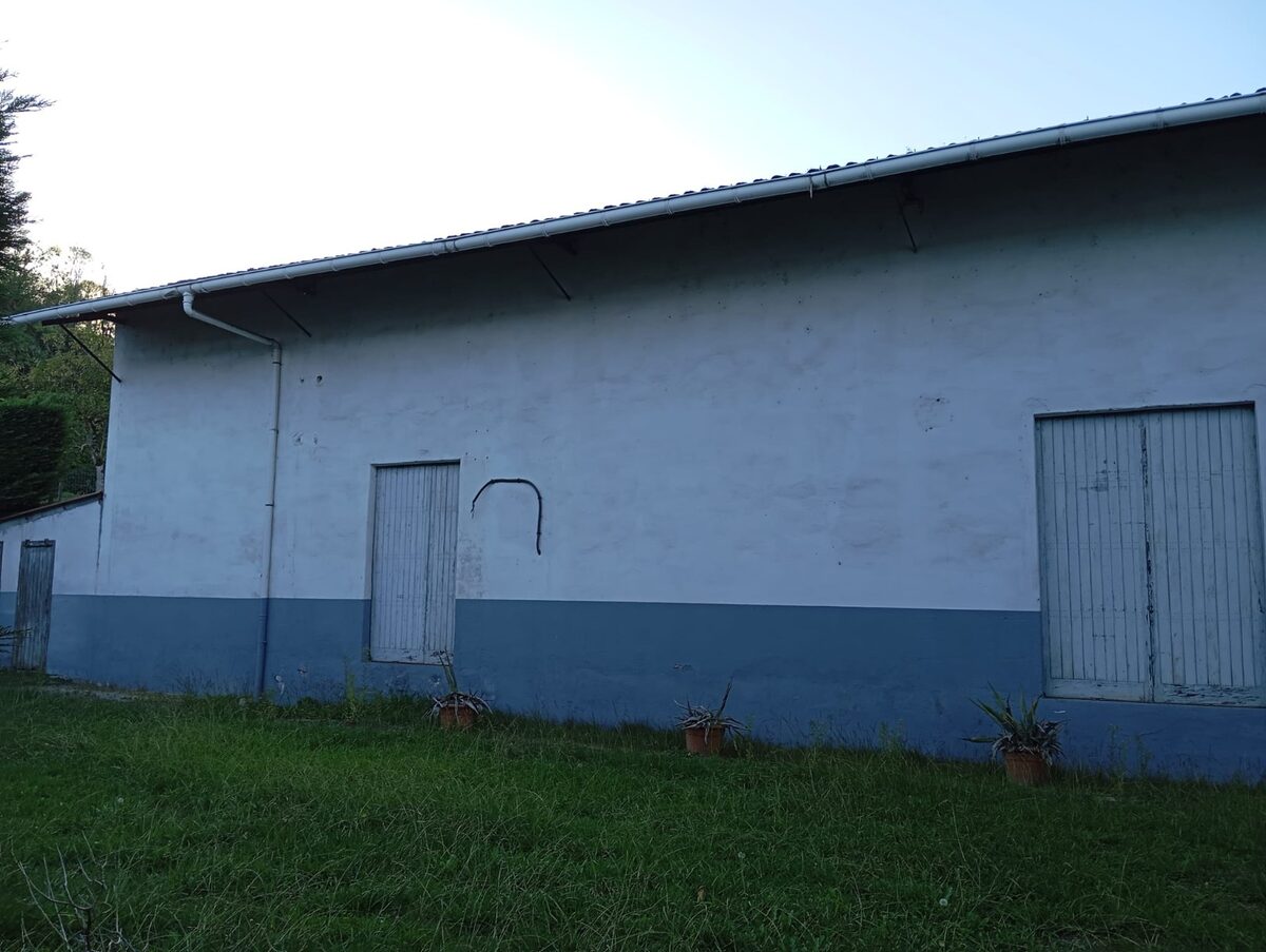 Дом с 4 спальнями, 435м² в Валенсия, Испания [ID: 0150-LS-0511]