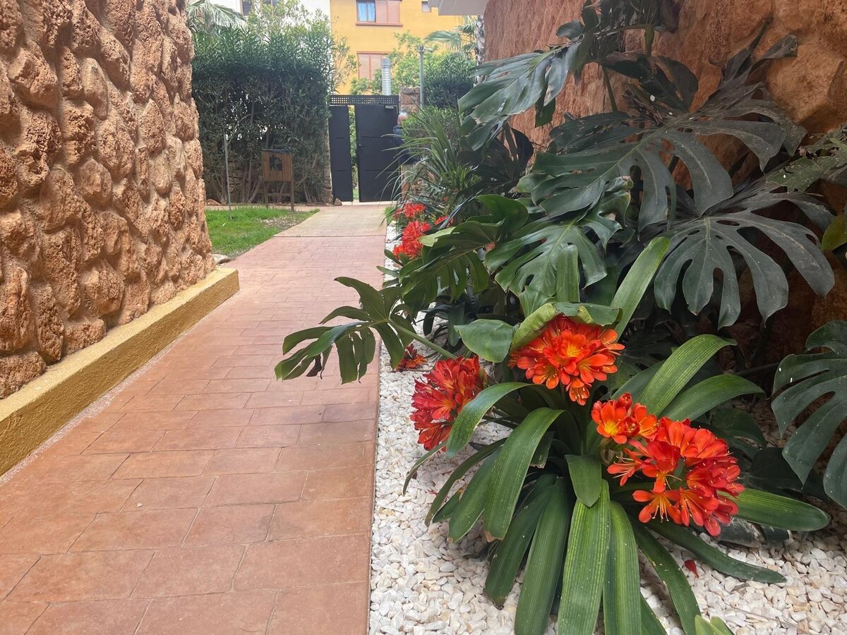 Apartment with 2 bedrooms, 96m² in Punta Prima, Spain [ID: 0150-LS-1801]