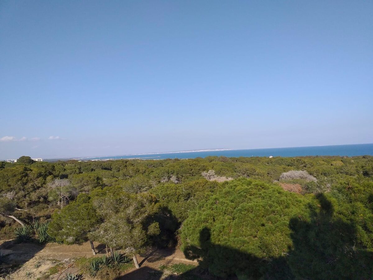 Квартира з 3 спальнями, 116м² в Гуардамар-дель-Сегура, Іспанія [ID: 0137-SP1363]