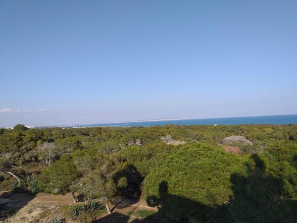 Пентхаус в Гуардамар-дель-Сегура, Испания, 136м² - изображение 4