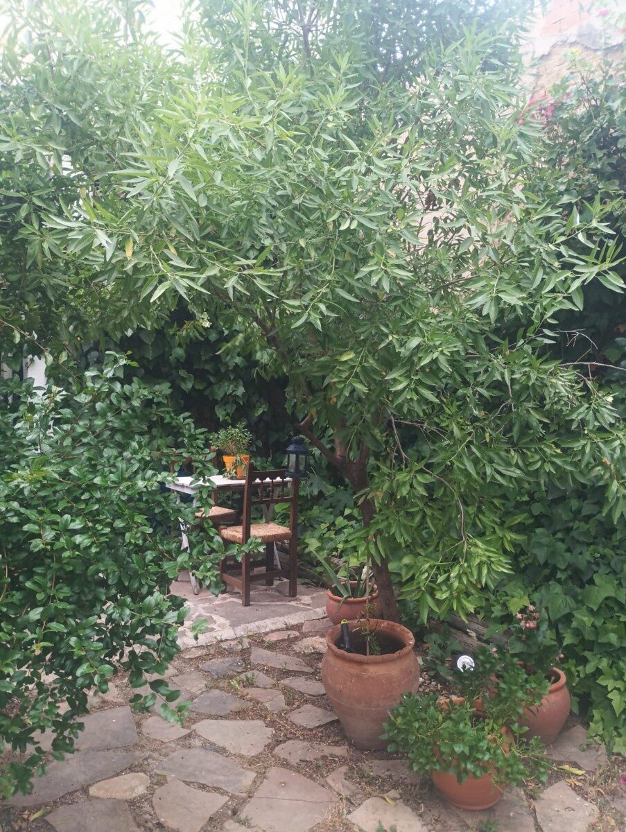 Дом с 4 спальнями, 110м² в Валенсия, Испания [ID: 0150-LS-2010Y]