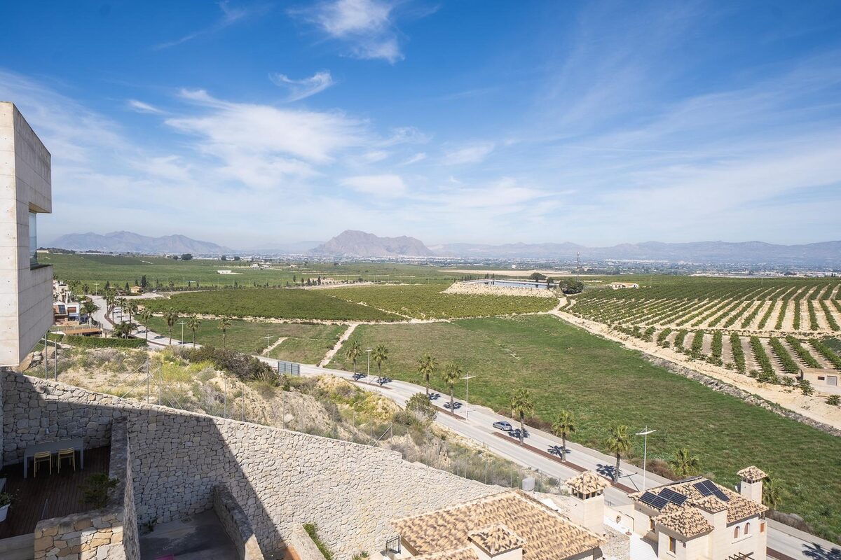Villa with 6 bedrooms, 436m² in Algorfa, Spain [ID: 0137-N9537]