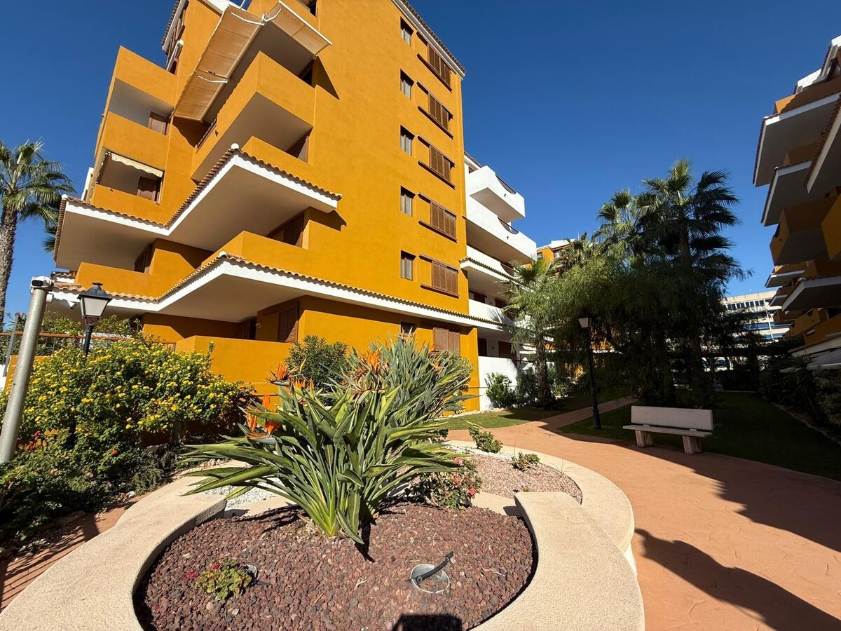 Apartment with 2 bedrooms, 84m² in Punta Prima, Spain [ID: 0150-LS-0602]