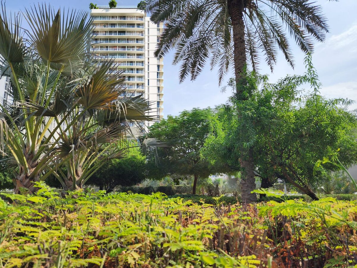 Apartament, 36.36m² w Dubaj, Zjednoczone Emiraty Arabskie [ID: 1102-136f0b00]