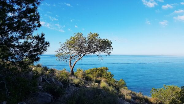 Apartment in Villajoyosa, Spain, 54m² - image 15