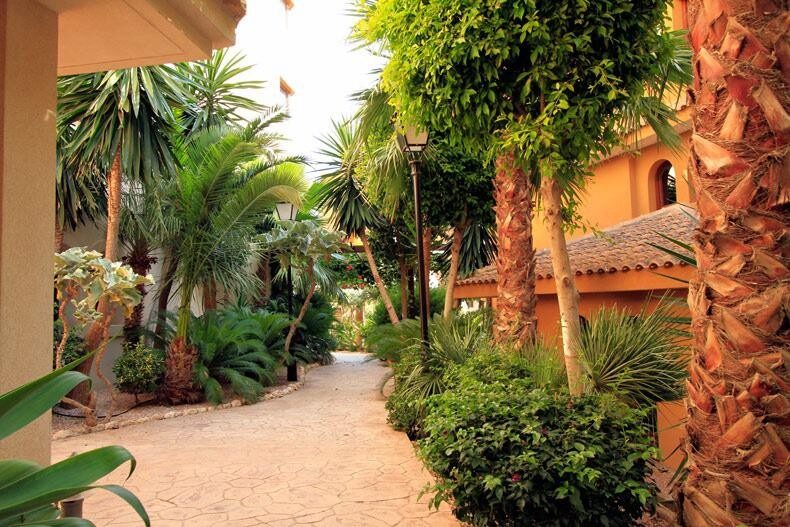 Apartment with 1 bedroom, 90m² in Punta Prima, Spain [ID: 0150-LS-1506]