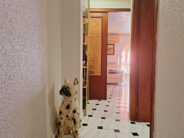 Apartamenty w Torrevieja, Hiszpania, 93m² - obraz 25