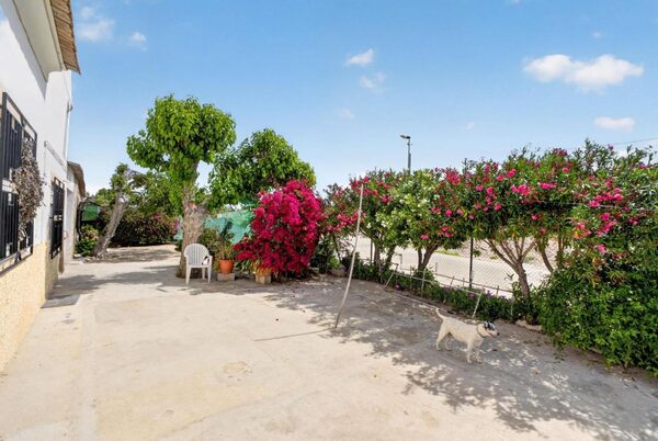 houses w orihuela, Hiszpania, 240m² - obraz 5