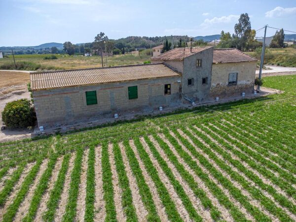 houses w orihuela, Hiszpania, 240m² - obraz 18