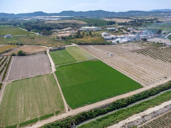 houses w orihuela, Hiszpania, 240m² - obraz 30
