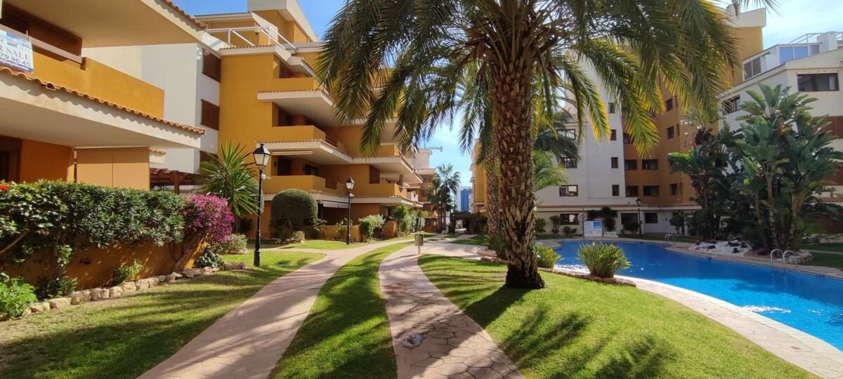 Apartament z 2 sypialniami, 75m² w Torrevieja, Hiszpania [ID: 0152-586999]
