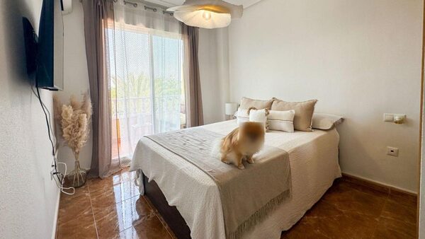 Апартаменты в Гуардамар-дель-Сегура, Испания, 70м² - изображение 16