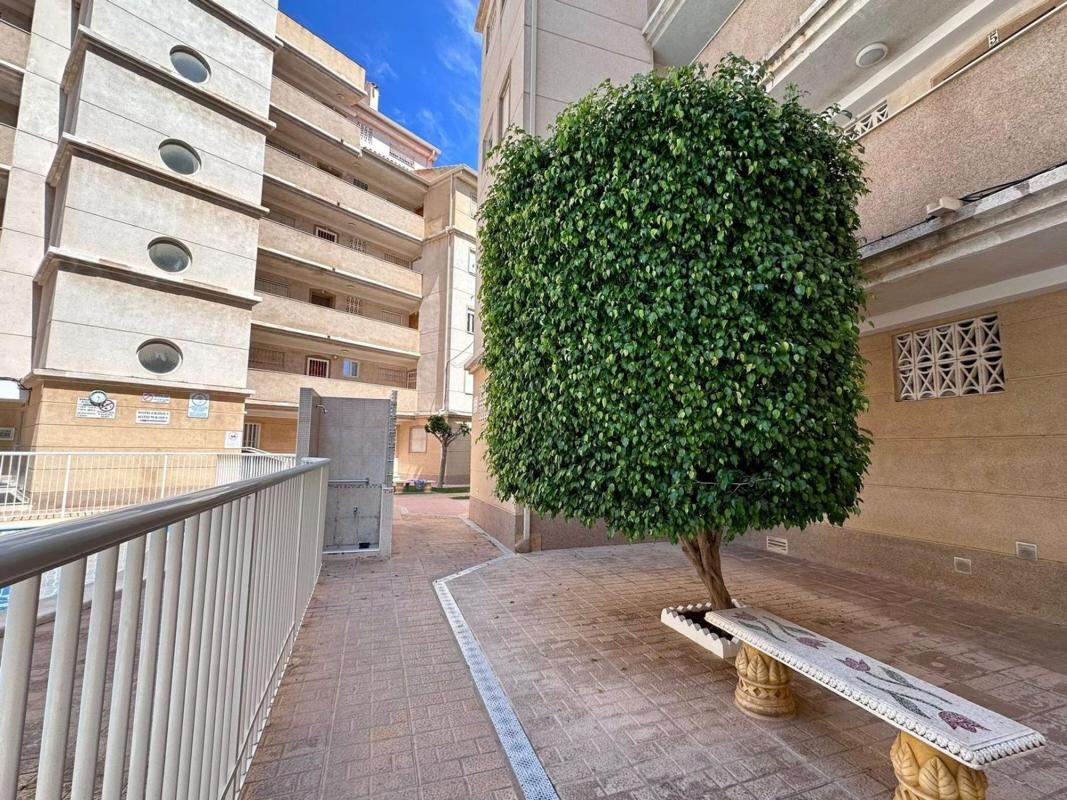 Квартира з 2 спальнями, 55м² в Торрев'єха, Іспанія [ID: 0152-549615]