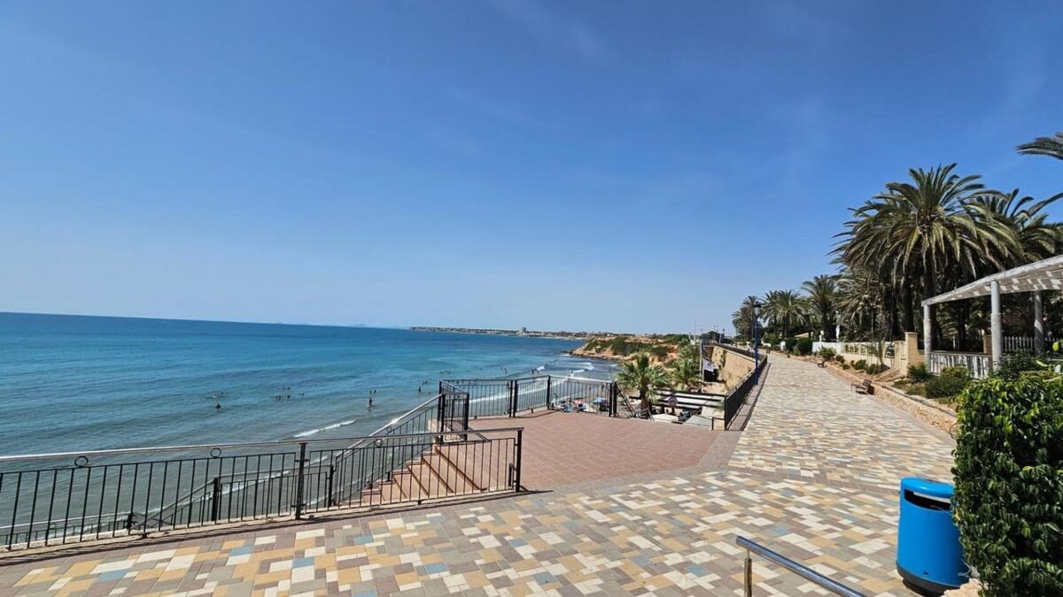 Земля в Оріуела, Іспанія [ID: 0152-539944]