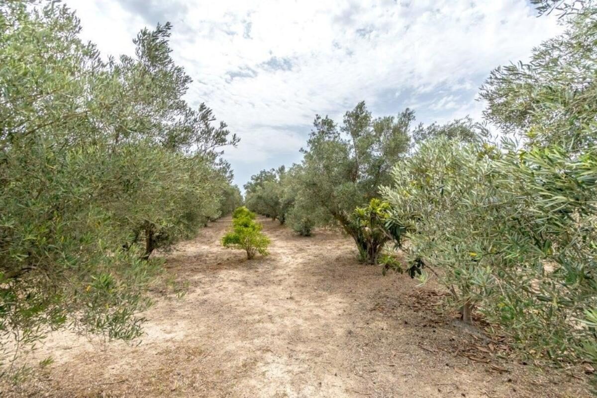 houses z 3 sypialniami, 14567m² w Dolores, Hiszpania [ID: 0152-479482]