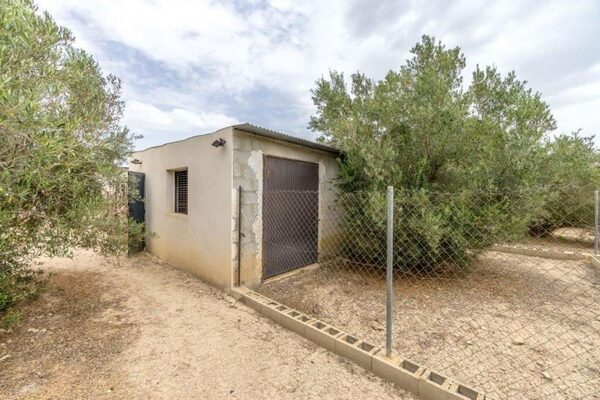 houses w Dolores, Hiszpania, 14567m² - obraz 25