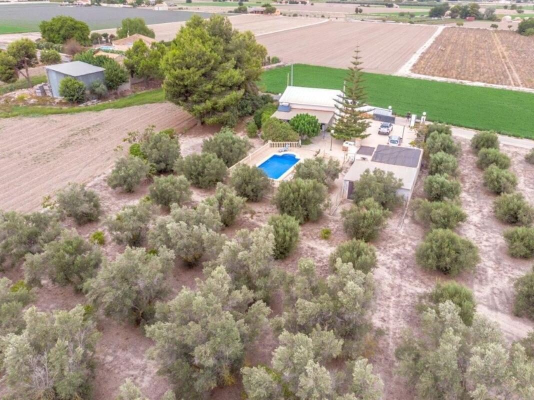 houses z 3 sypialniami, 14567m² w Dolores, Hiszpania [ID: 0152-479482]