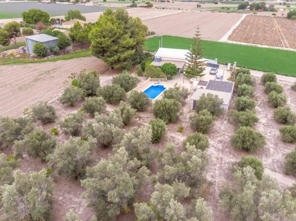 houses w Dolores, Hiszpania, 14567m² - obraz 2