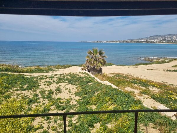 Villa in kissonerga, Cyprus, 337.00m² - image 11