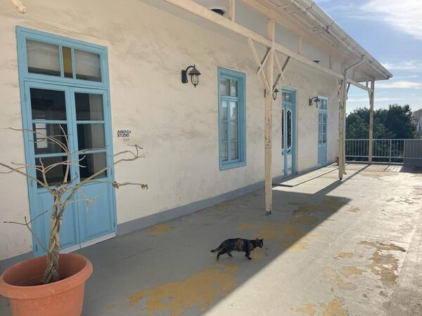 rentable-property в historical-center, Кіпр - зображення 9