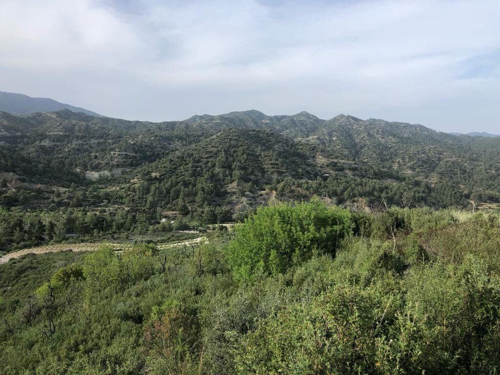 Земля в trimiklini, Кипр [ID: 0602-6654]