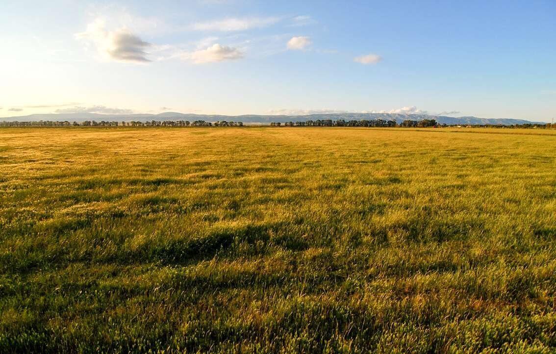 Земля в agios-tychon, Кипр [ID: 0602-7376]