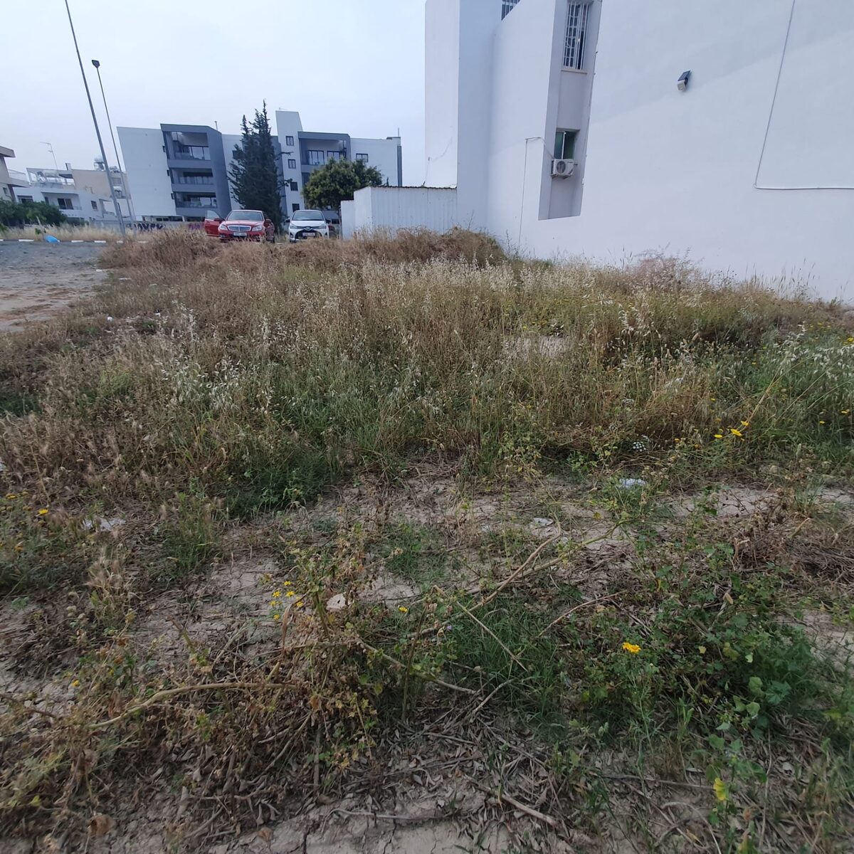 Земля в kapsalos, Кипр [ID: 0602-7991]