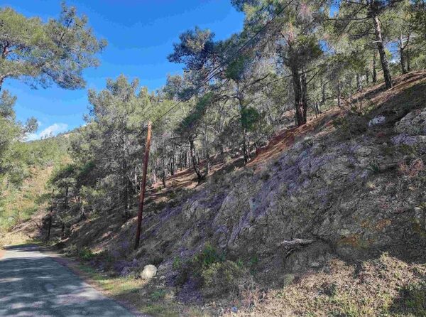 Land in moniatis, Cyprus - image 4