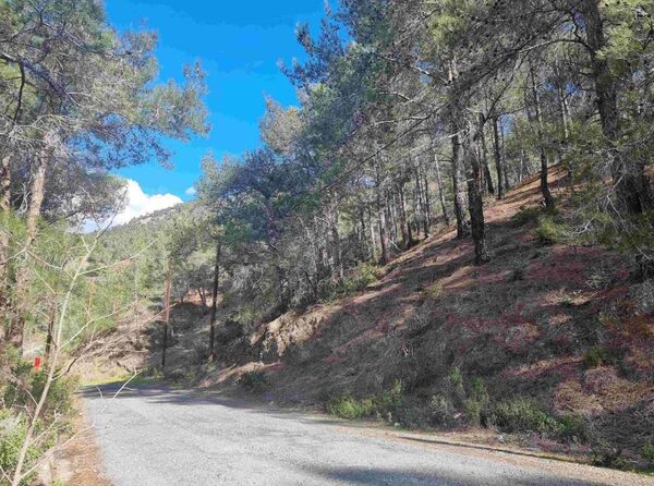 Land in moniatis, Cyprus - image 7