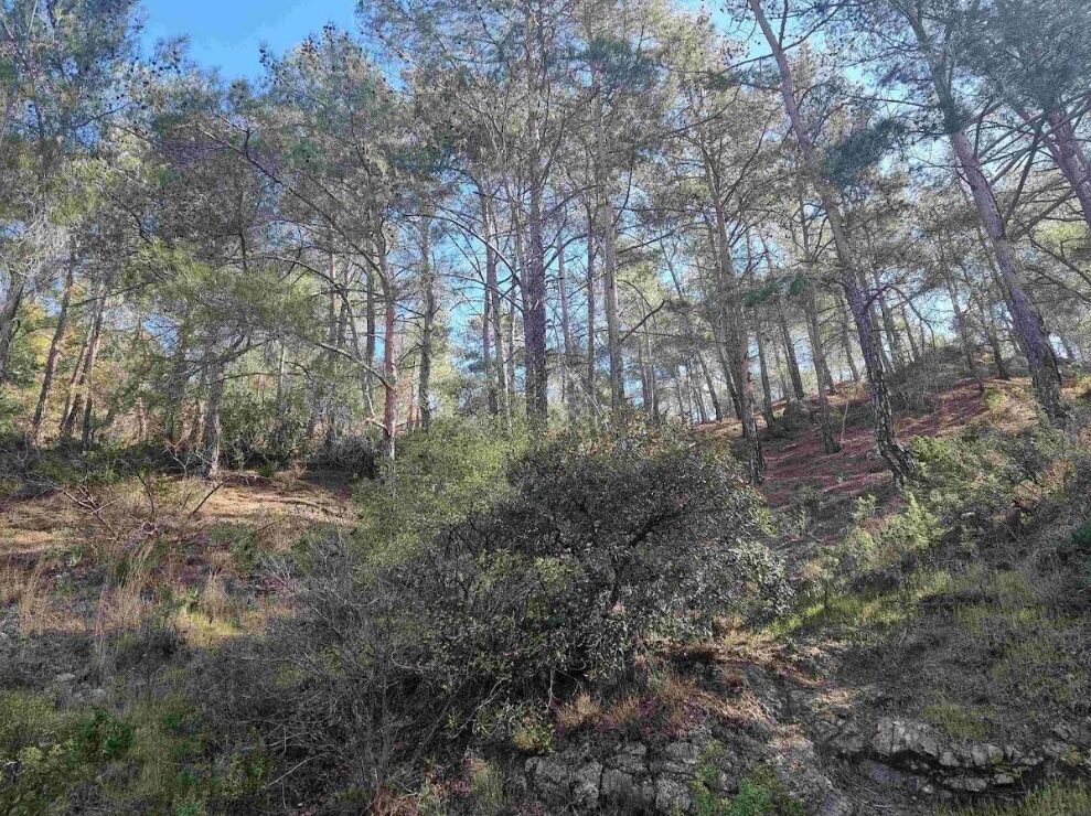 Land in moniatis, Cyprus [ID: 0602-232151]