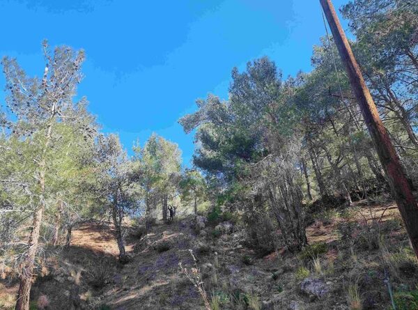 Land in moniatis, Cyprus - image 3