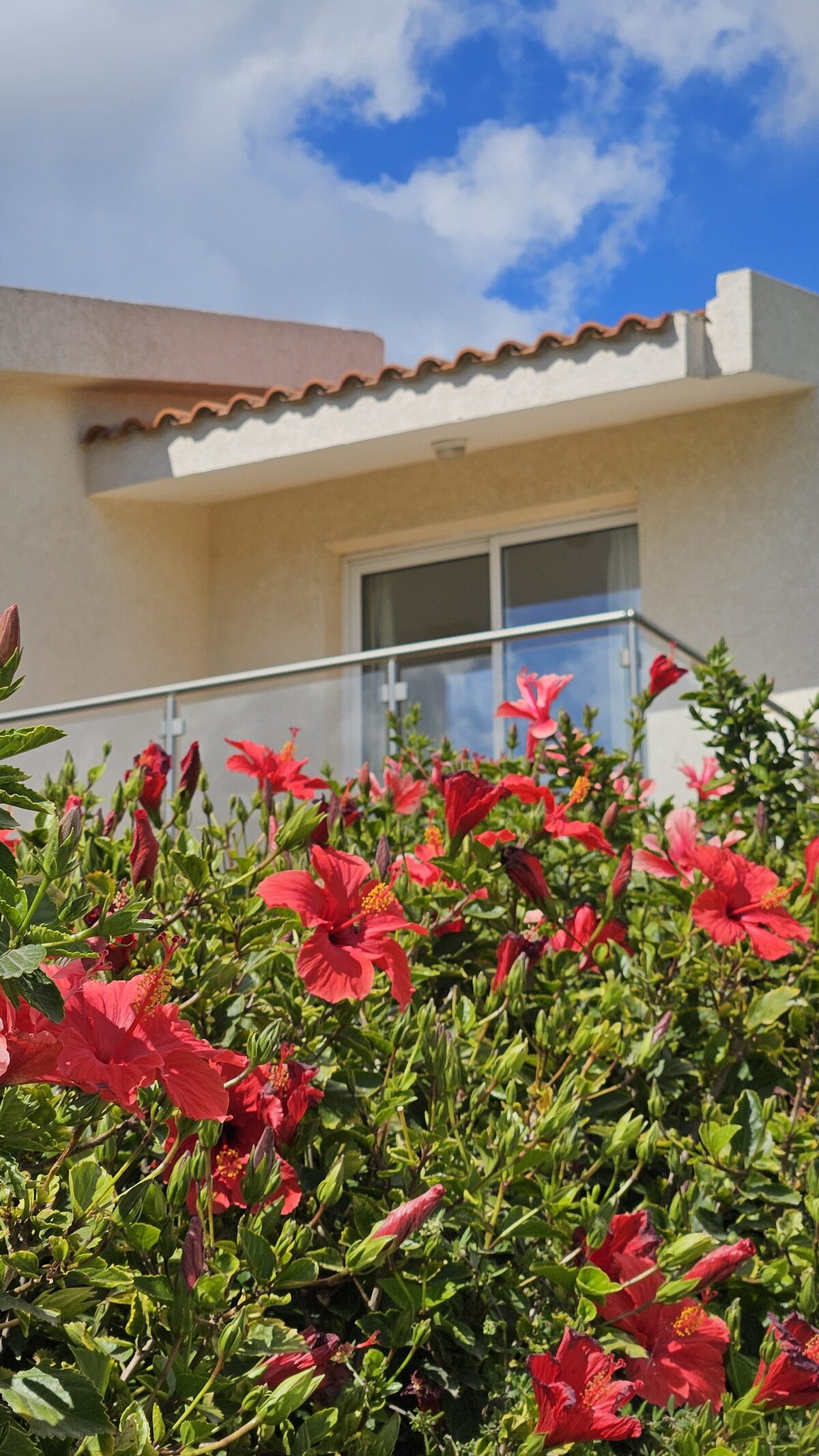 houses z 3 sypialniami, 136.00m² w pegeia, Cypr [ID: 0602-232354]
