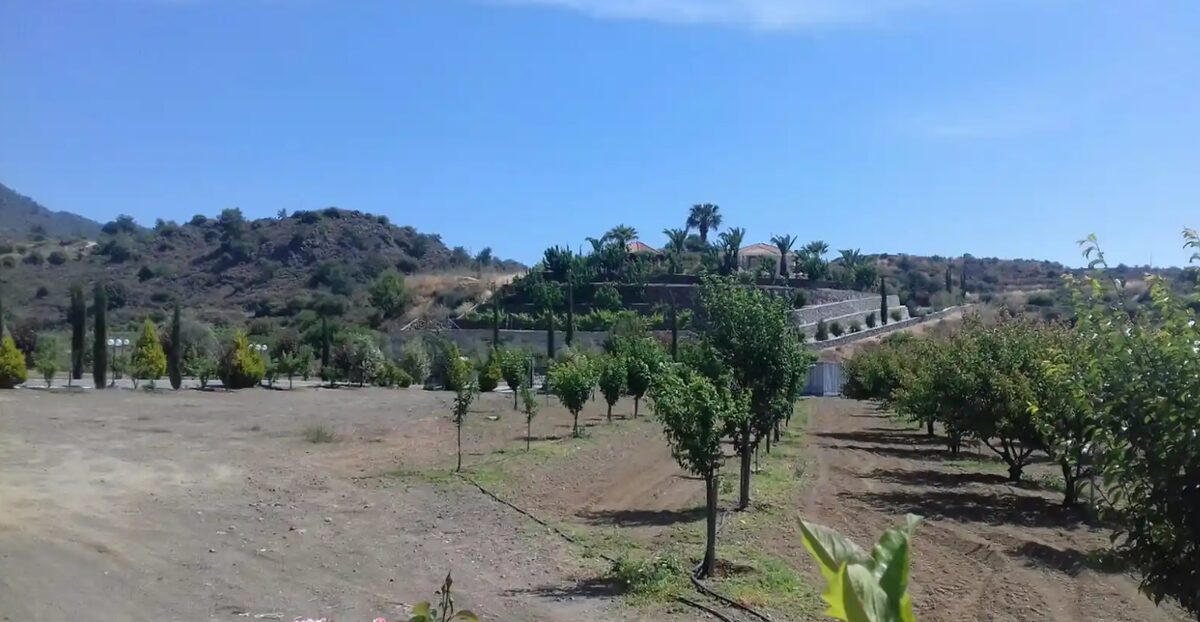Вілла з 6 спальнями в kalo-chorio, Кіпр [ID: 0602-232915]