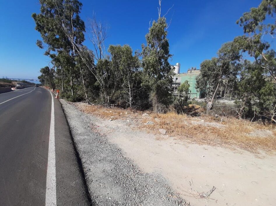Land in mari, Cyprus [ID: 0602-233538]