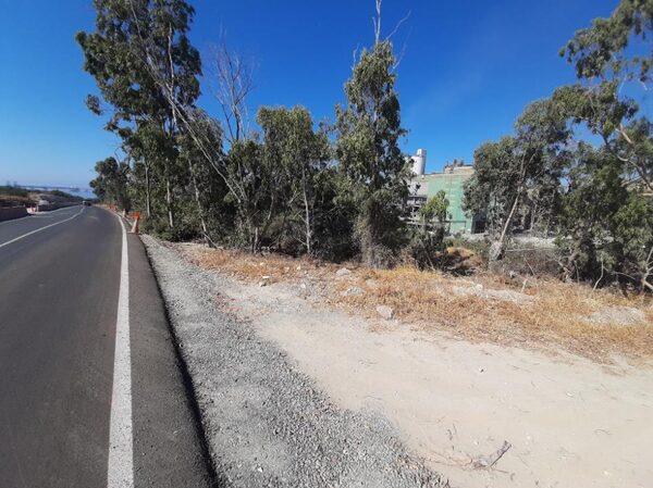Land in mari, Cyprus - image 3